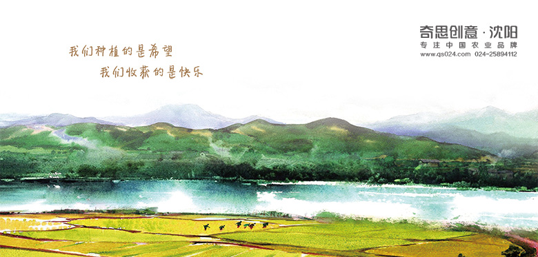 大米品牌策劃，大米包裝設計，黑龍江大米包裝設計-，沈陽(yáng)奇思創(chuàng  )意