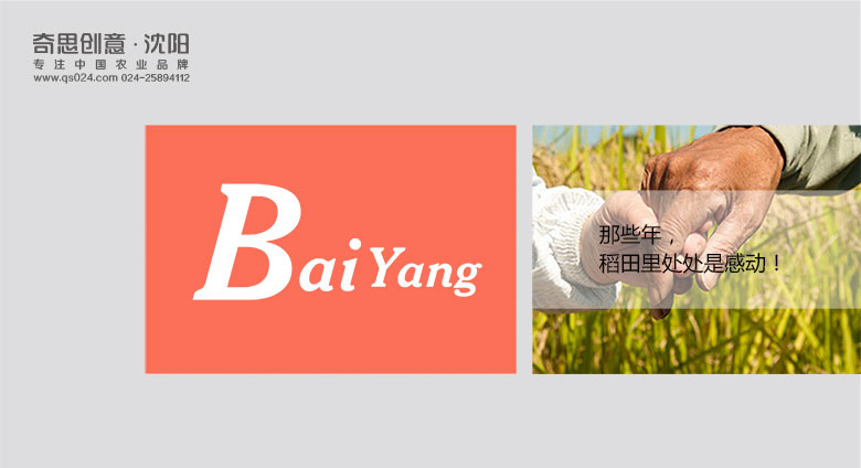 延壽縣柏陽(yáng)糧米有限公司，大米標志設計，大米VIS設計，沈陽(yáng)奇思創(chuàng  )意