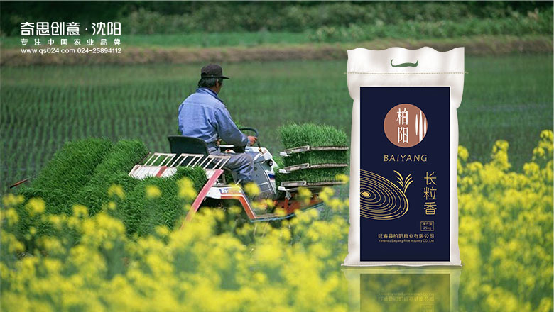 延壽縣柏陽(yáng)糧米有限公司，大米標志設計，大米VIS設計，沈陽(yáng)奇思創(chuàng  )意