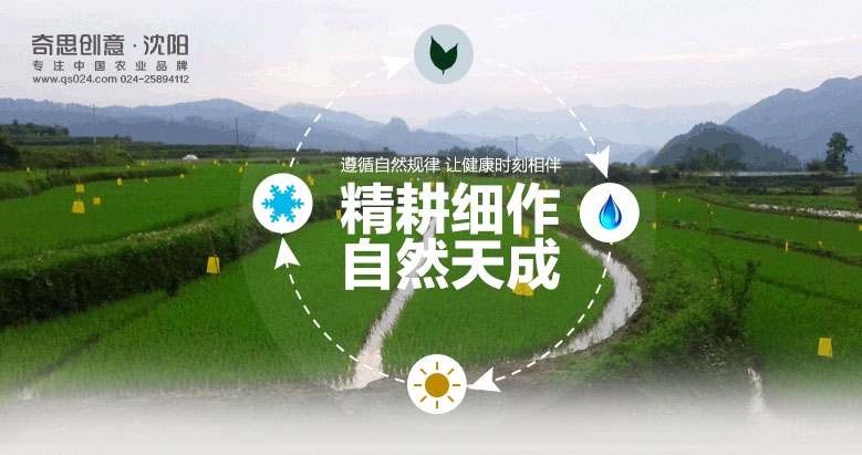 大米Logo設計，大米標志設計專(zhuān)業(yè)大米包裝設計，大米品牌策劃，大米袋包裝設計，沈陽(yáng)奇思創(chuàng  )意