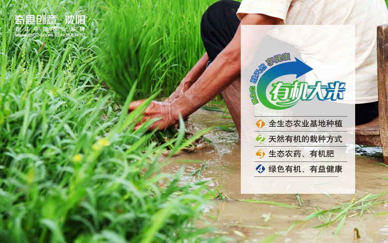 四川香濃米業(yè)，金稗子品牌標識設計，四川大米包裝設計，沈陽(yáng)奇思創(chuàng  )意