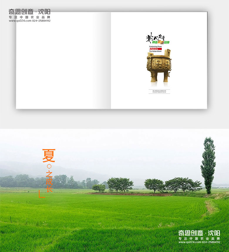 四川香濃米業(yè)，金稗子品牌標識設計，四川大米包裝設計，沈陽(yáng)奇思創(chuàng  )意