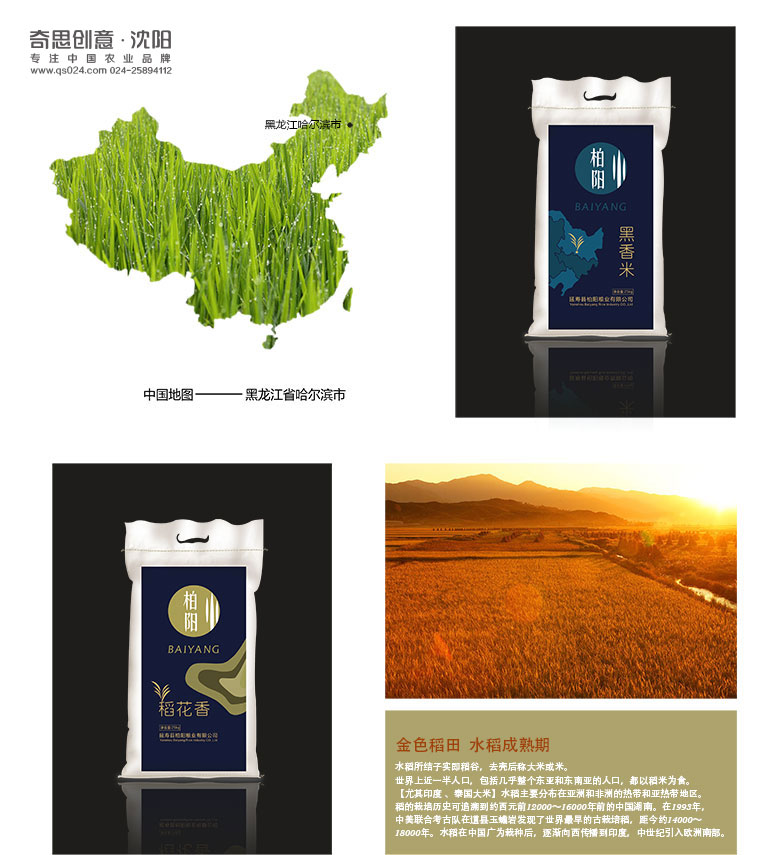 延壽縣柏陽(yáng)糧米有限公司，大米標志設計，大米VIS設計，沈陽(yáng)奇思創(chuàng  )意