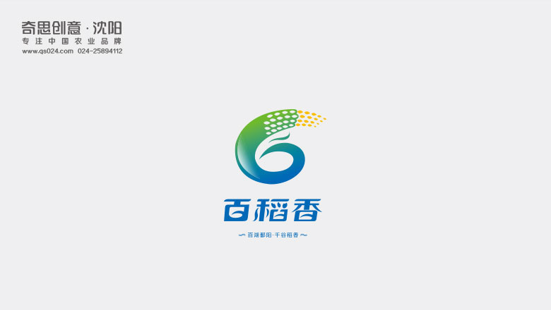 江西華字米業(yè)有限公司，大米logo設計，大米包裝設計，大米策劃