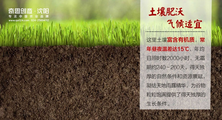 江西華字米業(yè)有限公司，大米logo設計，大米包裝設計，大米VIS設計