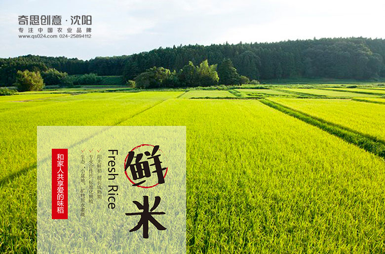 專(zhuān)業(yè)大米包裝設計，大米品牌畫(huà)冊手冊，專(zhuān)業(yè)糧油品牌網(wǎng)站設計制作，沈陽(yáng)奇思創(chuàng  )意