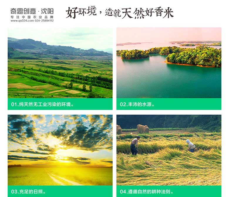 米業(yè)品牌標志設計，全程VI策劃設計，專(zhuān)業(yè)大米包裝設計，沈陽(yáng)奇思創(chuàng  )意