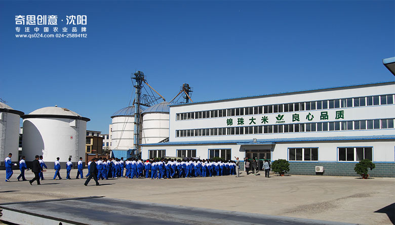 盤(pán)錦錦珠米業(yè) 世界糧食日—遼寧省愛(ài)糧節糧宣傳周活動(dòng)策劃設計