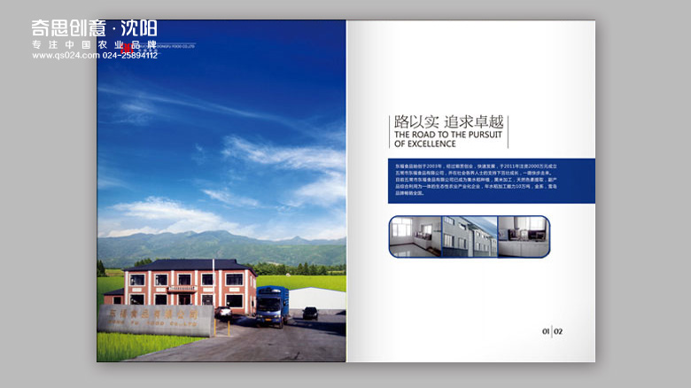 企業(yè)宣傳畫(huà)冊設計，VI全案設計，東福食品設計LOGO設計，VI全案設計，企業(yè)宣傳畫(huà)冊設計，米業(yè)品牌策劃，沈陽(yáng)奇思創(chuàng  )意
