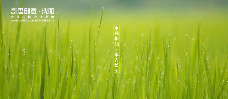 專(zhuān)業(yè)大米面粉包裝設計，黑龍江北大荒包裝品牌策劃，沈陽(yáng)奇思創(chuàng  )意