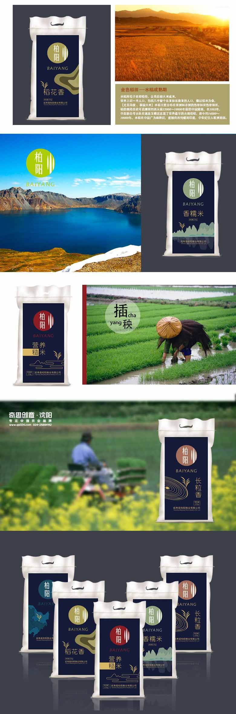 專(zhuān)業(yè)大米包裝設計，大米品牌策劃，柏陽(yáng)大米編織袋設計，專(zhuān)業(yè)大米包裝設計公司