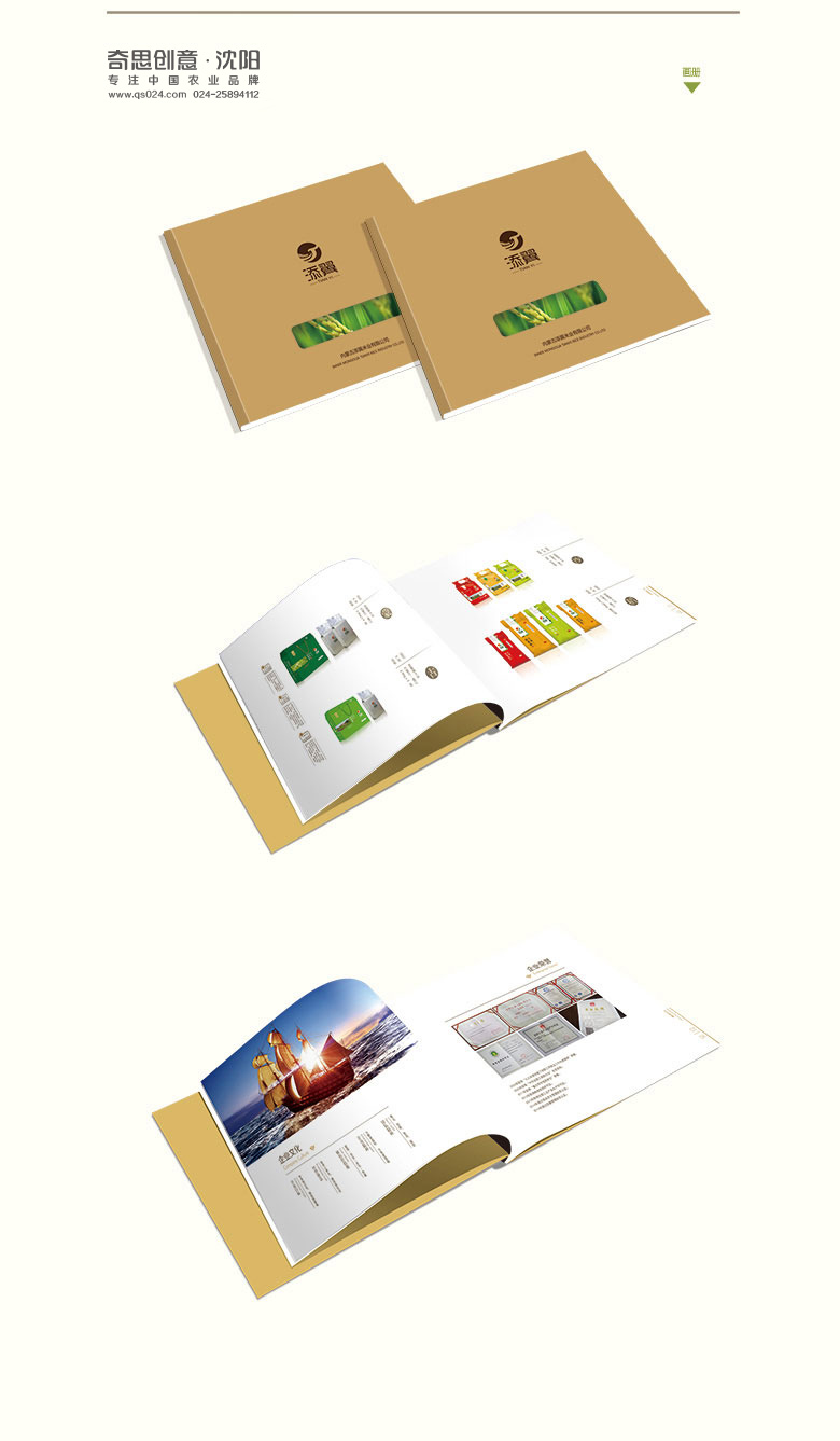 添翼集團畫(huà)冊設計，畫(huà)冊設計，集團畫(huà)冊設計，沈陽(yáng)奇思創(chuàng  )意