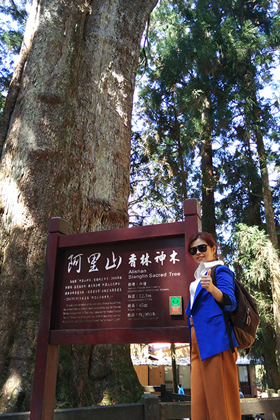 沈陽(yáng)奇思創(chuàng  )意，專(zhuān)業(yè)農業(yè)品牌策劃，專(zhuān)業(yè)大米面粉包裝設計，專(zhuān)業(yè)專(zhuān)賣(mài)店設計