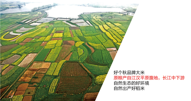 專(zhuān)業(yè)糧油品牌包裝設計，大米包裝設計，專(zhuān)賣(mài)店設計，農業(yè)品牌全案策劃