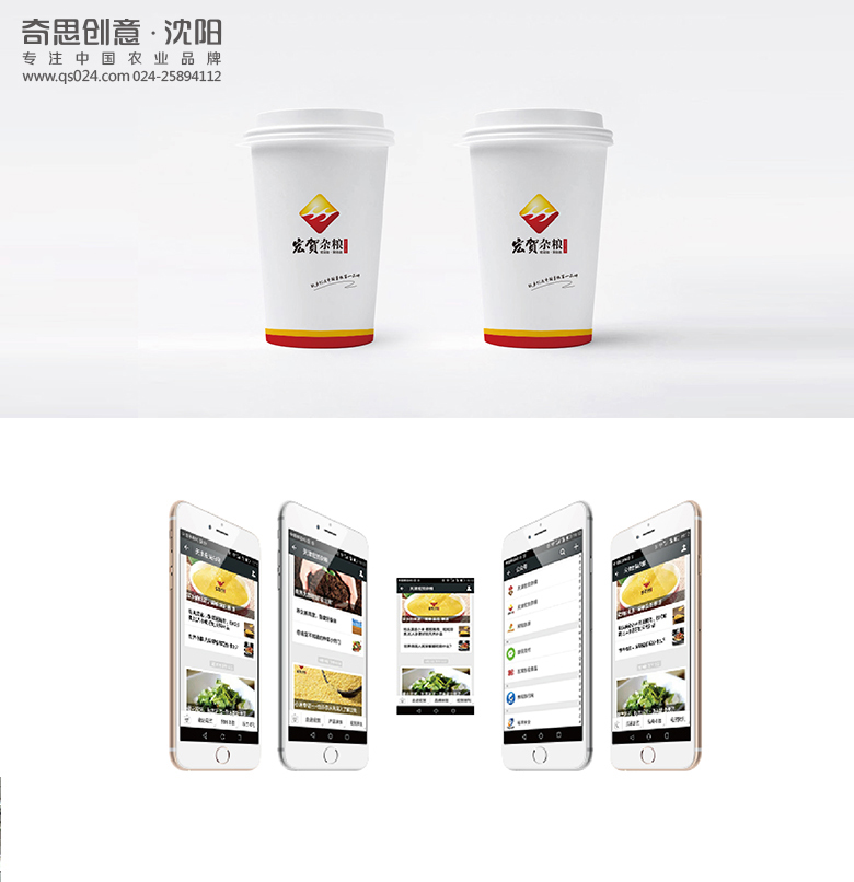 天津宏賀雜糧品牌策劃，雜糧禮盒設計，專(zhuān)業(yè)雜糧包裝設計，念頭logo設計，沈陽(yáng)奇思創(chuàng  )意