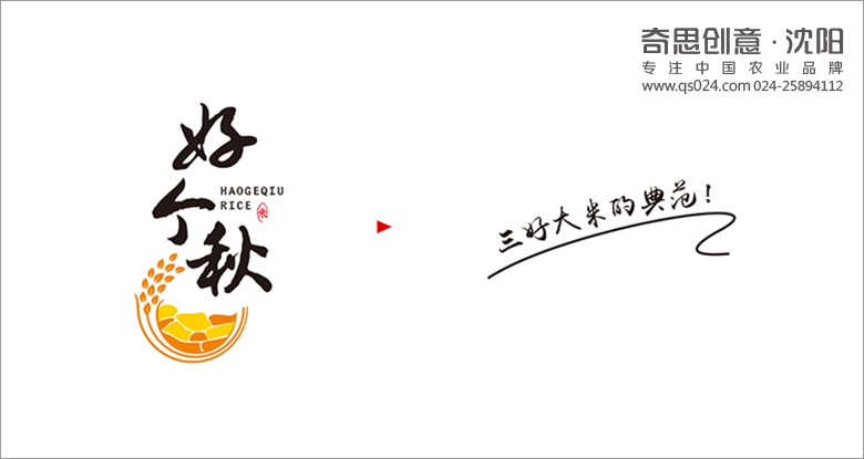 專(zhuān)業(yè)糧油品牌包裝設計，大米包裝設計，專(zhuān)賣(mài)店設計，農業(yè)品牌全案策劃