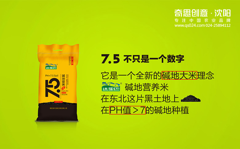 前郭縣天地源谷物有限公司，東北大米包裝，大米編織袋包裝設計