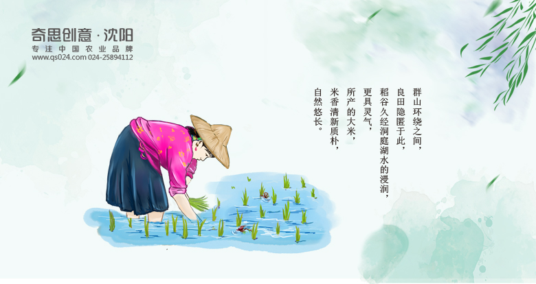 大米品牌策劃，大米包裝設計，湖南大米品牌，沈陽(yáng)奇思創(chuàng  )意