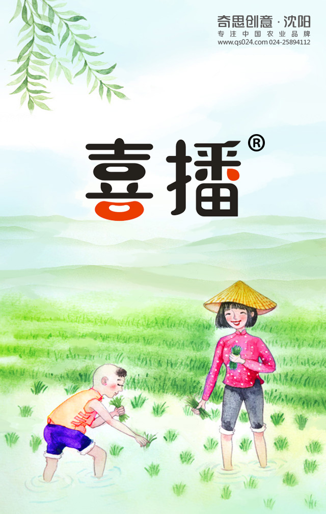 專(zhuān)業(yè)大米包裝品牌策劃設計，專(zhuān)業(yè)大米標識設計，沈陽(yáng)奇思創(chuàng  )意
