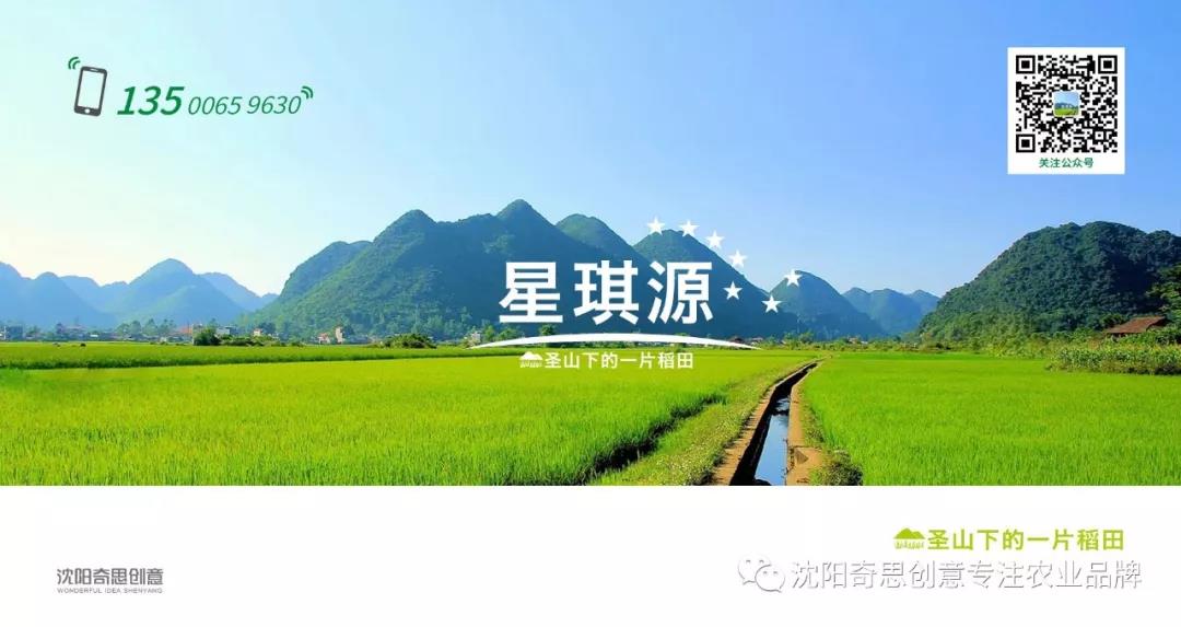 星琪源有限公司 沈陽(yáng)奇思創(chuàng  )意 七星米哥