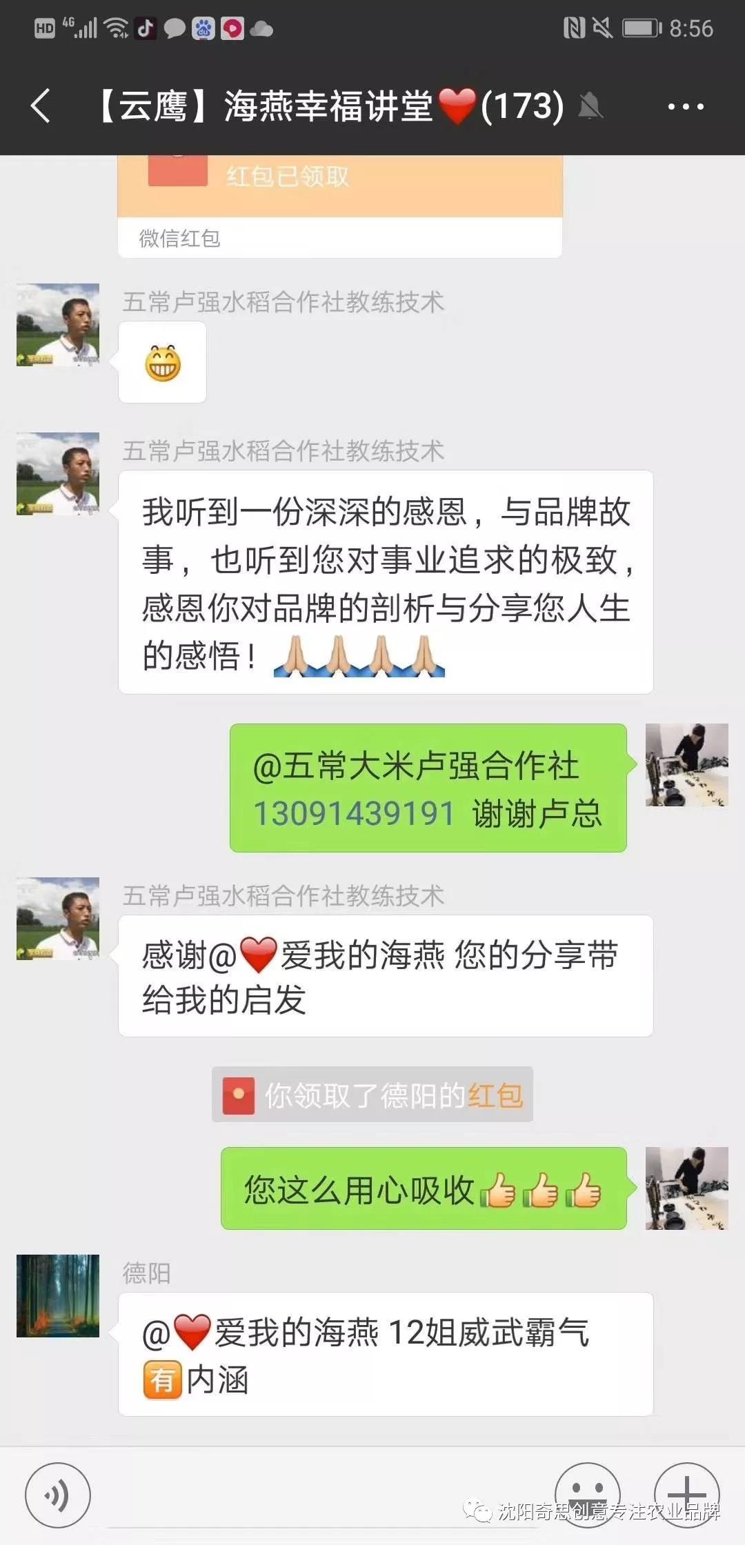 沈陽(yáng)奇思創(chuàng  )意 云鷹 品牌策劃