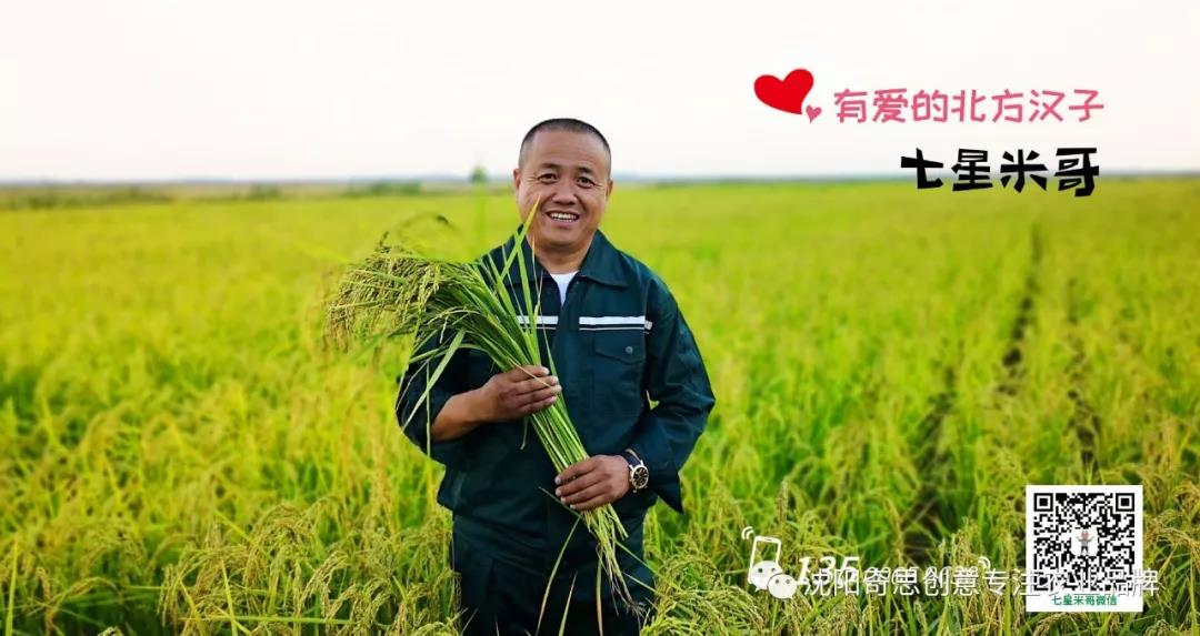 沈陽(yáng)奇思創(chuàng  )意 七星米哥 星琪源有限公司