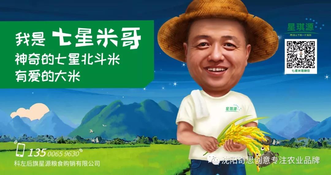 星琪源有限公司 沈陽(yáng)奇思創(chuàng  )意 七星米哥