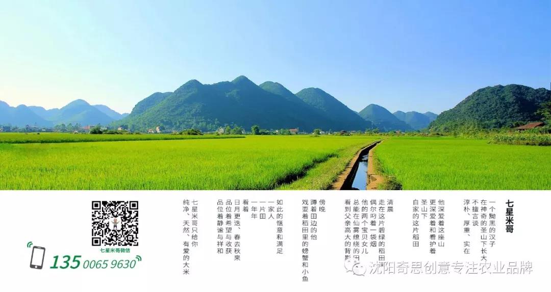沈陽(yáng)奇思創(chuàng  )意 星琪源有限公司 有愛(ài)的大米