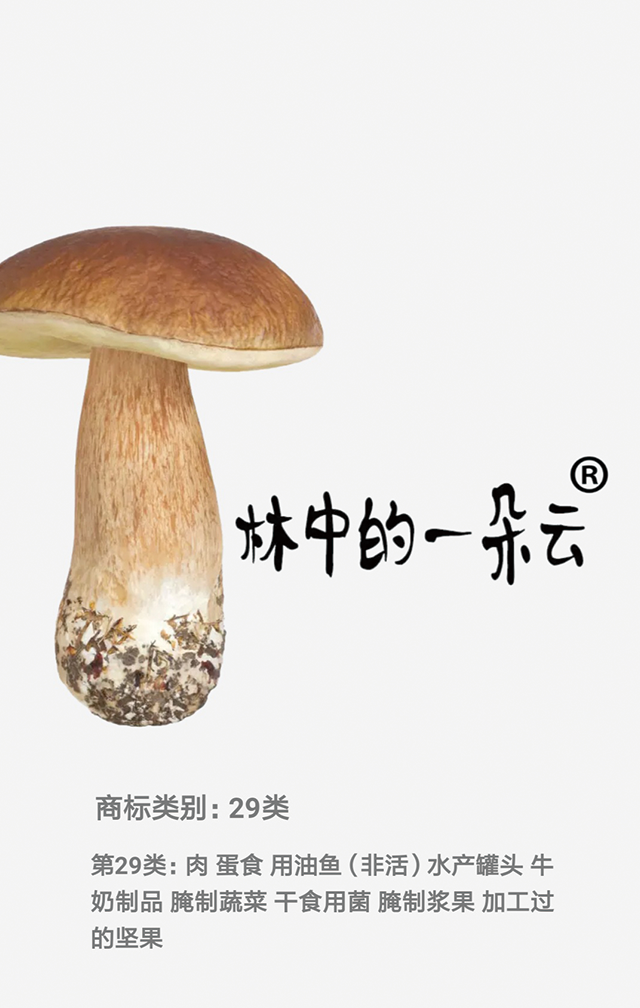 專(zhuān)業(yè)大米包裝品牌策劃設計，專(zhuān)業(yè)大米標識設計，沈陽(yáng)奇思創(chuàng  )意
