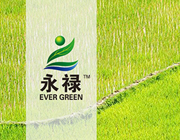 黑龍江北大荒復正農業(yè)發(fā)展有限公司