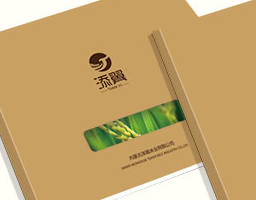 內蒙古添翼集團畫(huà)冊