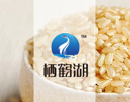 棲鶴湖標識設計